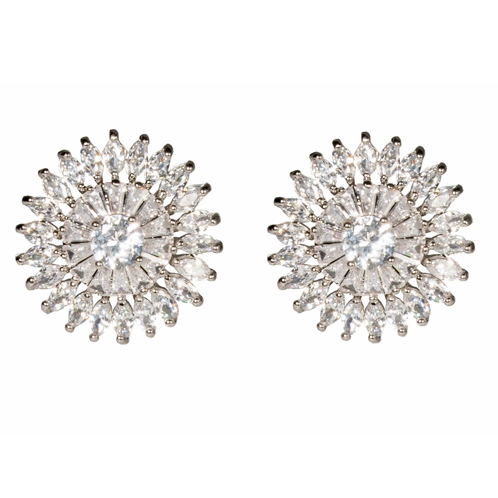 Popular Flower Shape Stud 925silver Plated Earring Shinny Zircon Fashion Jewelry